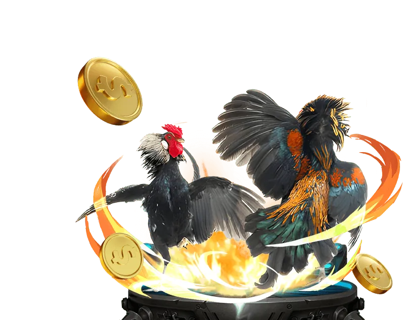 Các loại kèo cược đá gà VN88UP